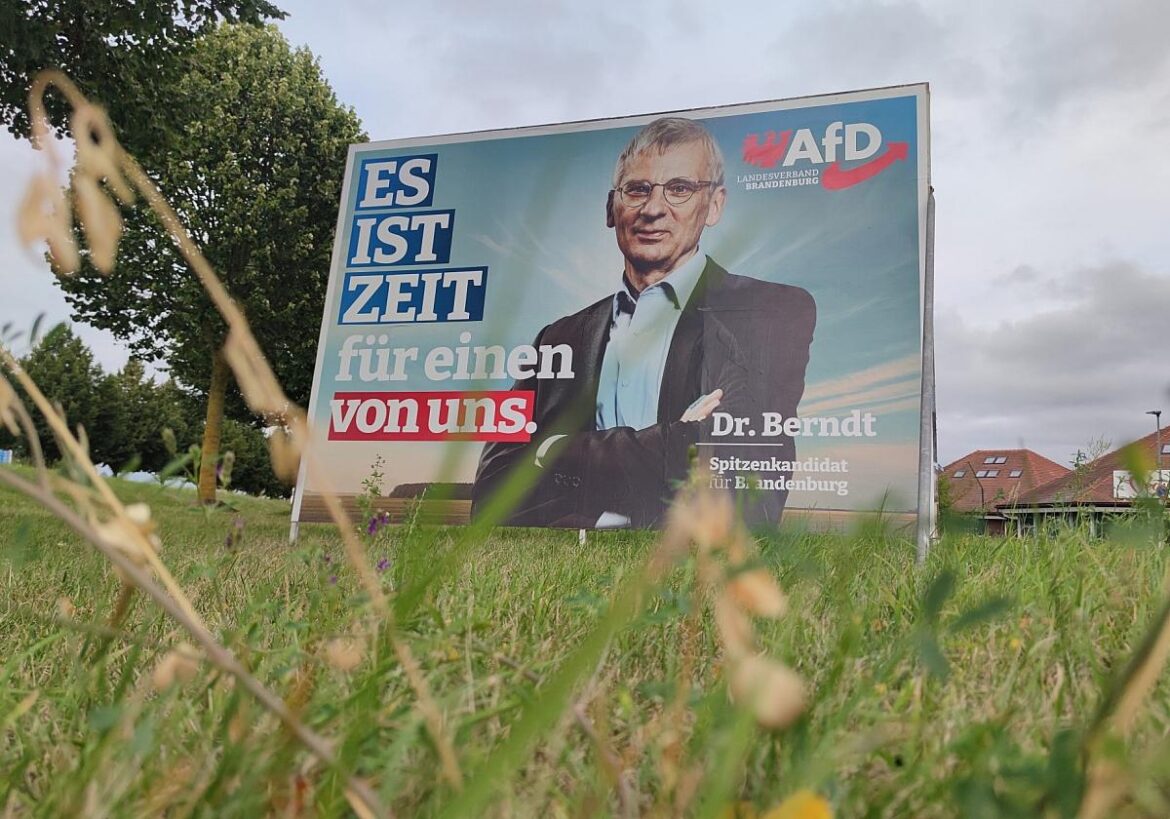 AfD-Wahlplakat mit