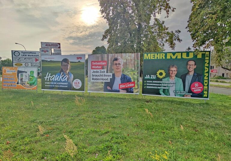 Wahlplakate zur