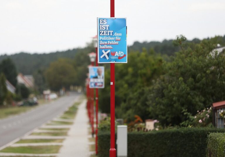 AfD-Wahlplakate zur