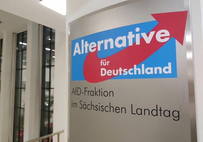 AfD-Fraktion im