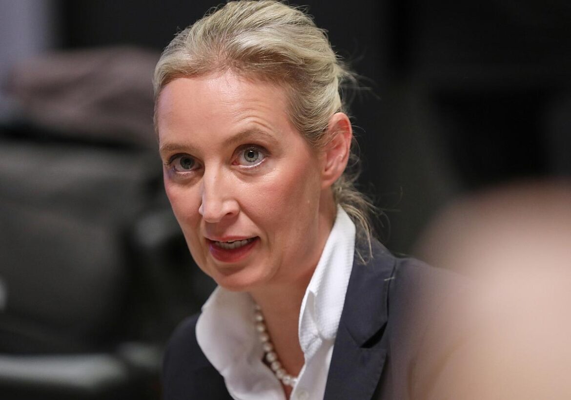 Alice Weidel