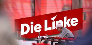 Linke-Parteitag (Archiv)