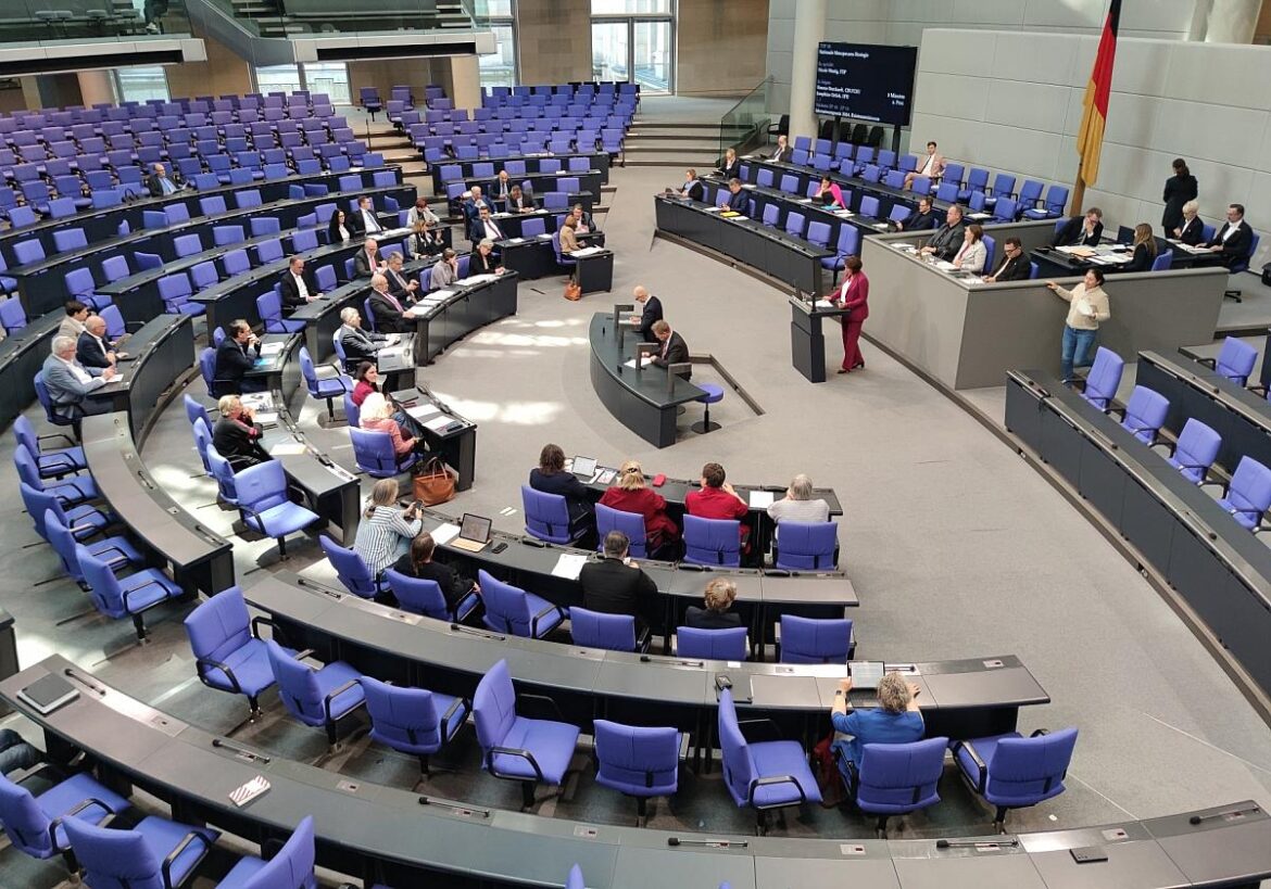 Bundestagssitzung (Archiv)