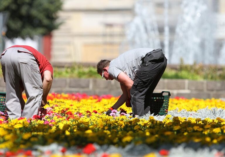 Gartenarbeiter auf