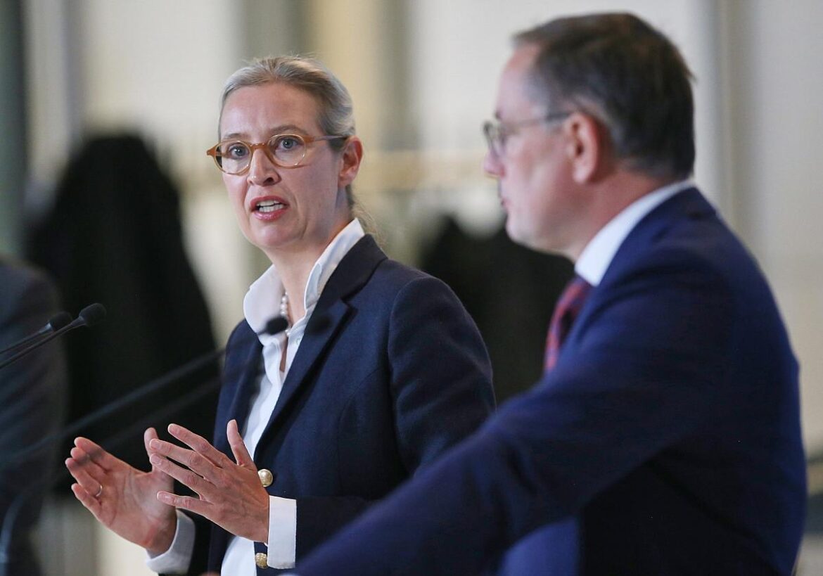 Alice Weidel