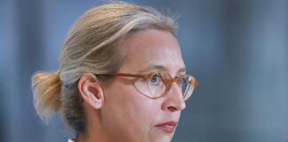 Alice Weidel