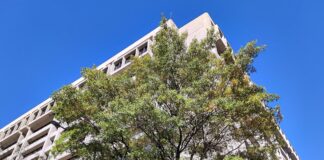 Internationaler Währungsfonds