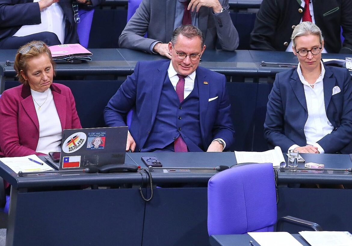 AfD-Spitzenpolitiker von