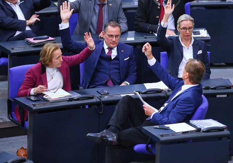 AfD-Bundestagsfraktion (Archiv)