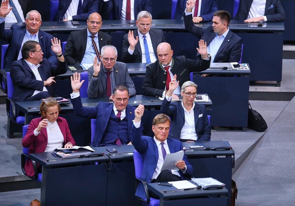 AfD-Fraktion (Archiv)