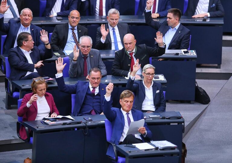 AfD-Fraktion (Archiv)