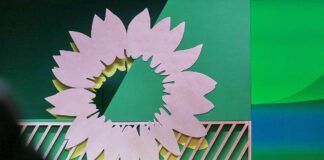 Grünen-Sonnenblume (Archiv)