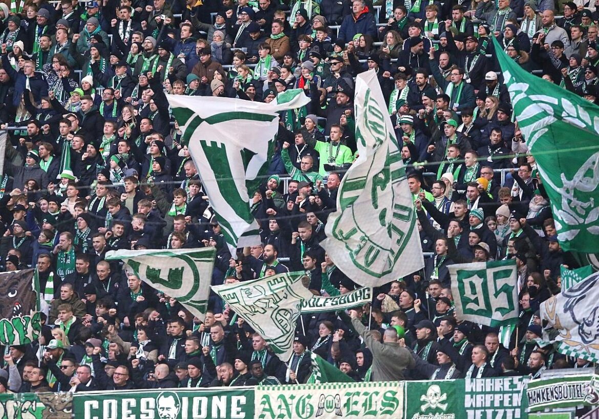 Fans des