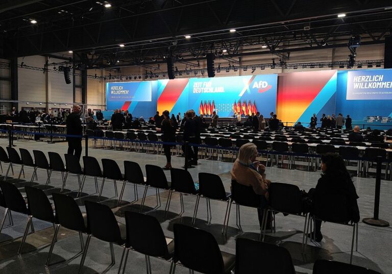 AfD-Parteitag (Archiv)