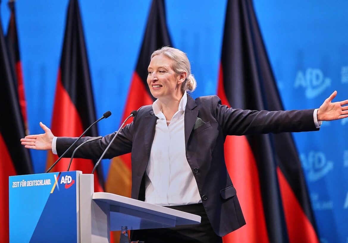 Alice Weidel