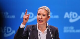 Alice Weidel