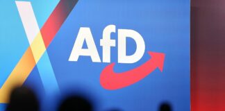 AfD-Logo auf