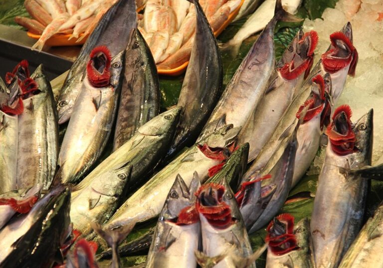 Fische (Archiv)
