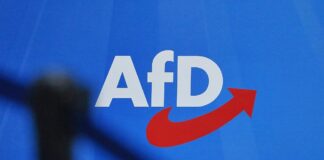 AfD-Logo am