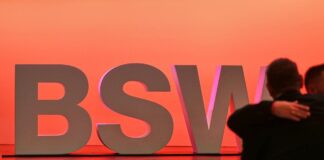 BSW-Logo (Archiv)