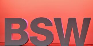 BSW-Logo (Archiv)