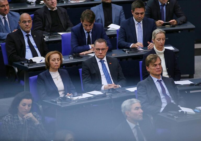 AfD-Fraktion im