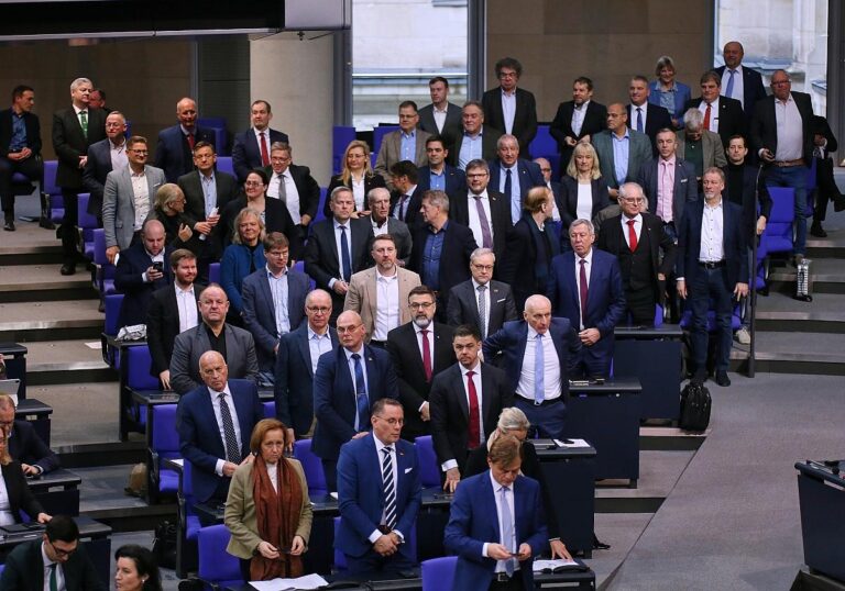 AfD-Bundestagsfraktion am