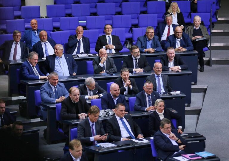 AfD-Fraktion (Archiv)