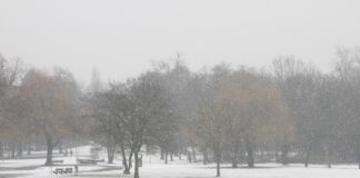 Winterlandschaft (Archiv)