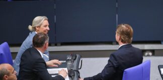 AfD-Bundestagsfraktion mit