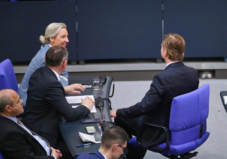 AfD-Bundestagsfraktion mit