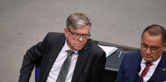 AfD-Bundestagsvizekanddiat Gerold