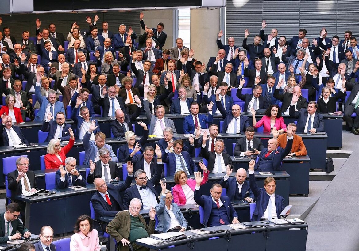 AfD-Bundestagsfraktion (Archiv)
