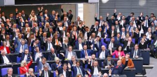 AfD-Bundestagsfraktion (Archiv)