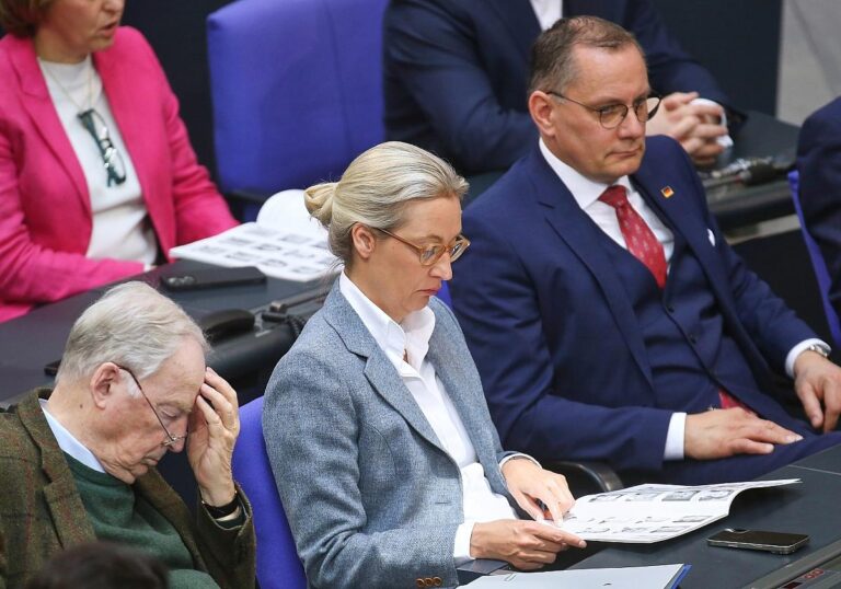 Alexander Gauland,