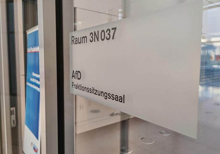 AfD-Bundestagsfraktion (Archiv)