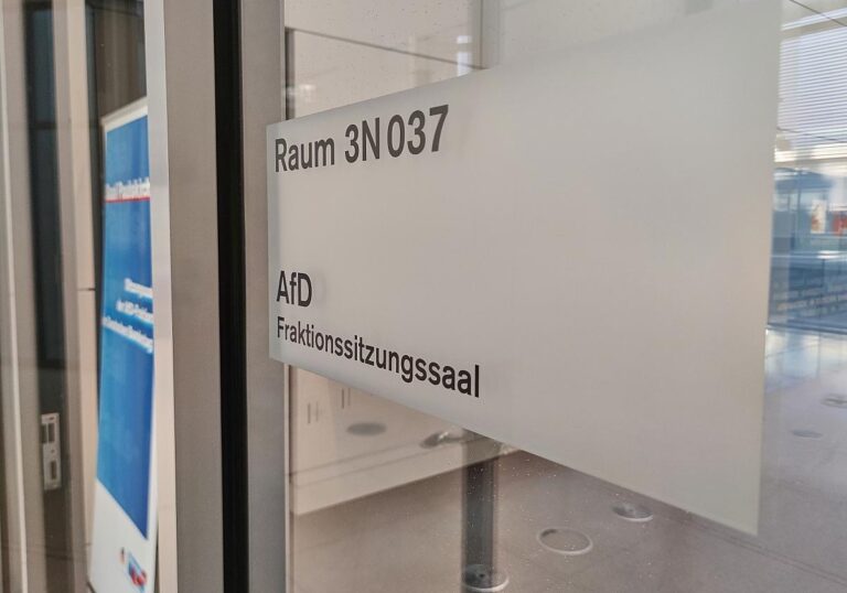 AfD-Bundestagsfraktion (Archiv)