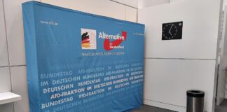AfD-Bundestagsfraktion (Archiv)