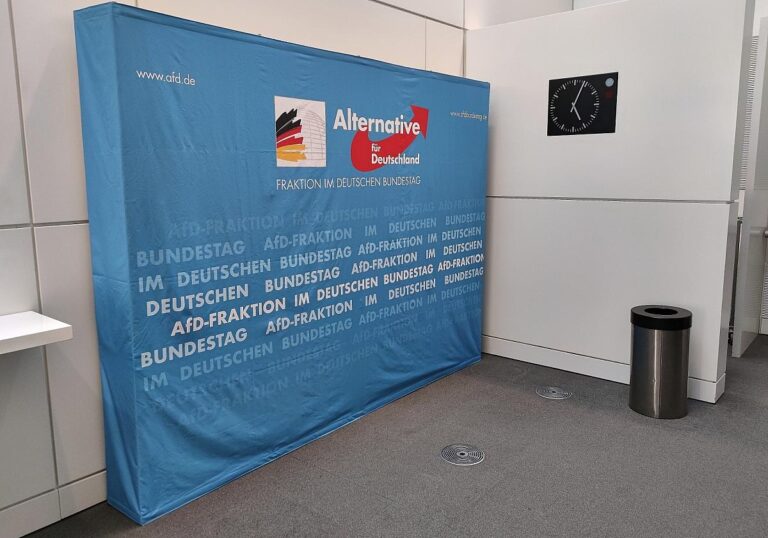 AfD-Bundestagsfraktion (Archiv)