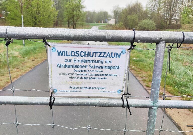Wildschutzzaun gegen