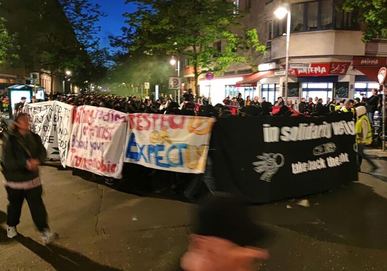 Linke Demo