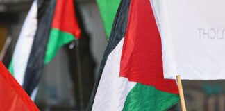 Palästinenser-Fahnen (Archiv)