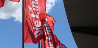 Linken-Parteitag (Archiv)