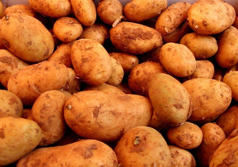 Kartoffeln (Archiv)