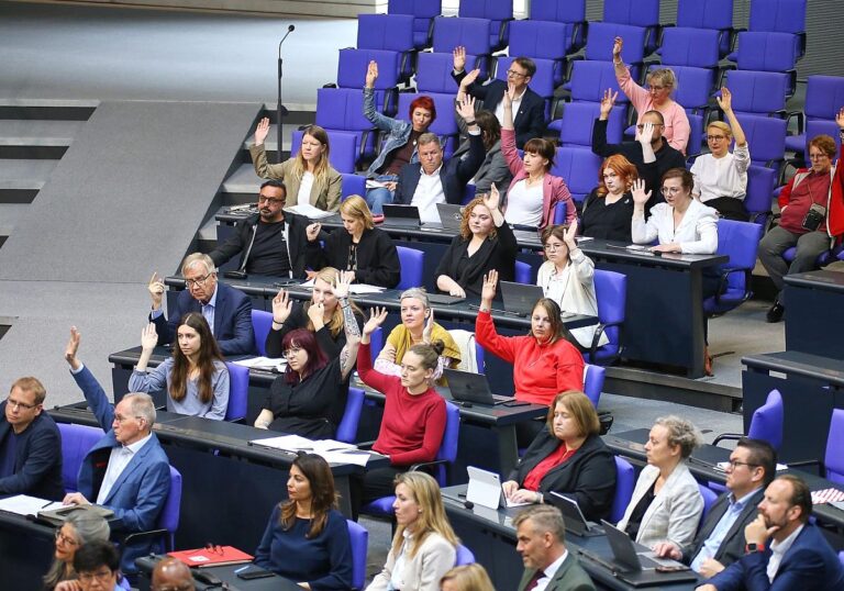 Linke-Bundestagsfraktion (Archiv)