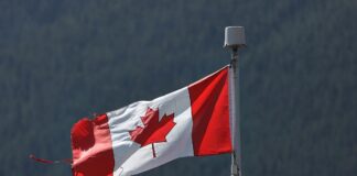 Kanadische Flagge