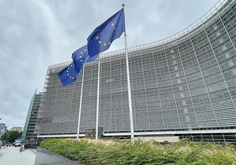 EU-Fahnen (Archiv)