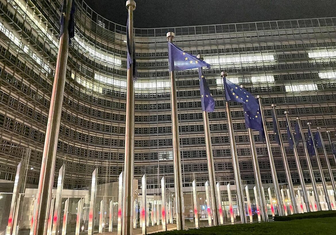 EU-Fahnen (Archiv)