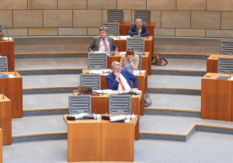 AfD-Fraktion im