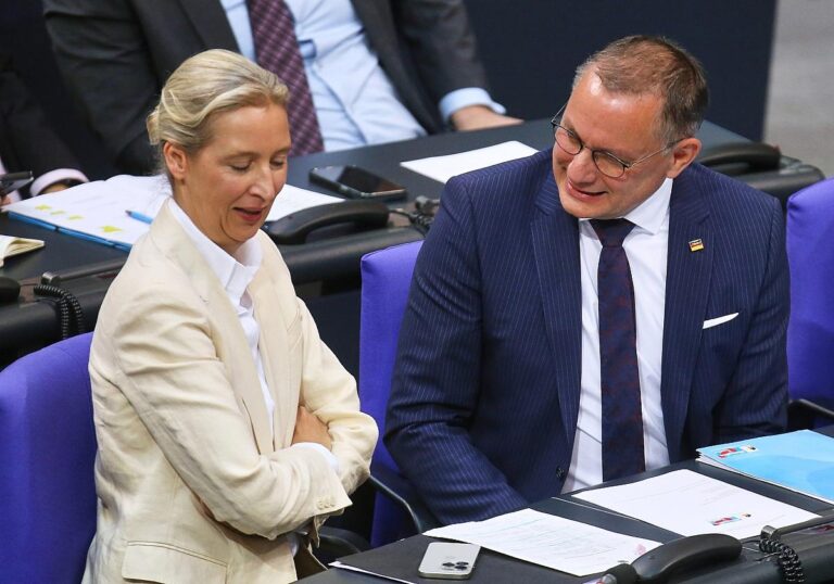 Alice Weidel